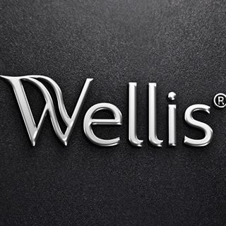 logo_wellis_schwarz_wellness_swimspas