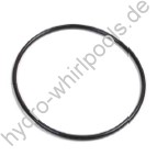 4505049 hydropool whirlpool SwimSpa